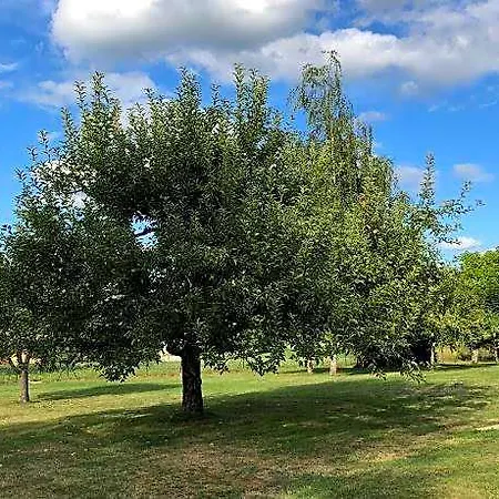 Dcv Summer 4* Saint-Pierre-de-Chignac